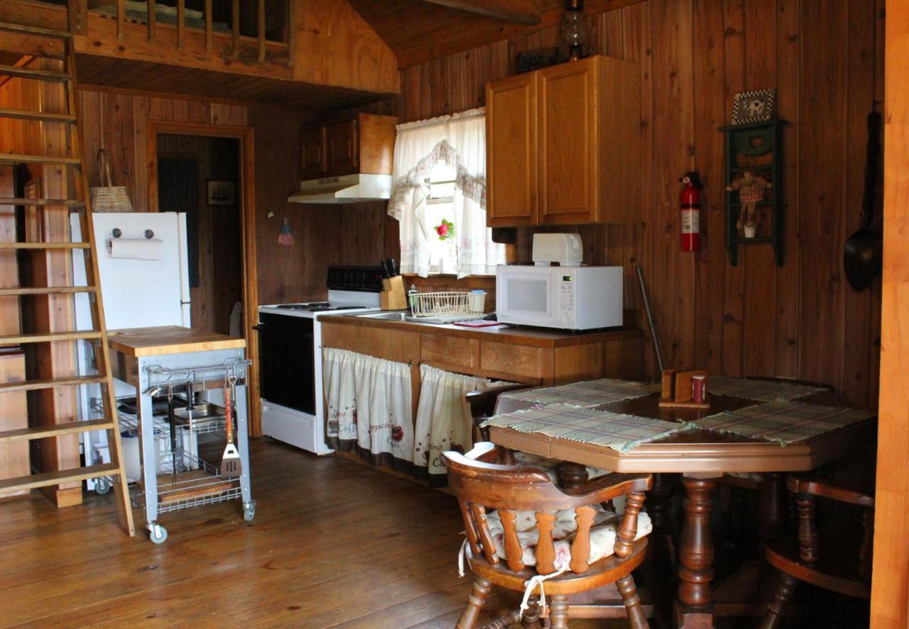 Berry Creek Cabins Bed and Breakfast Isabel Esterno foto
