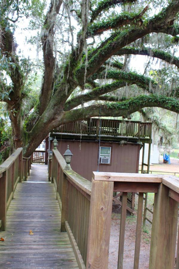 Berry Creek Cabins Bed and Breakfast Isabel Esterno foto