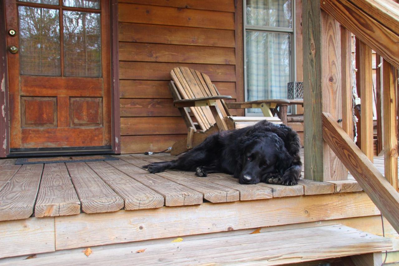 Berry Creek Cabins Bed and Breakfast Isabel Esterno foto