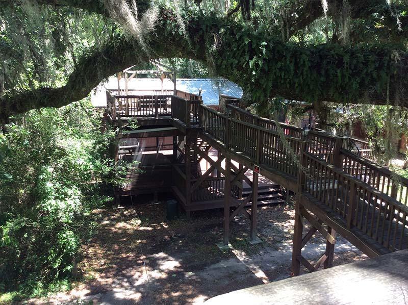 Berry Creek Cabins Bed and Breakfast Isabel Esterno foto