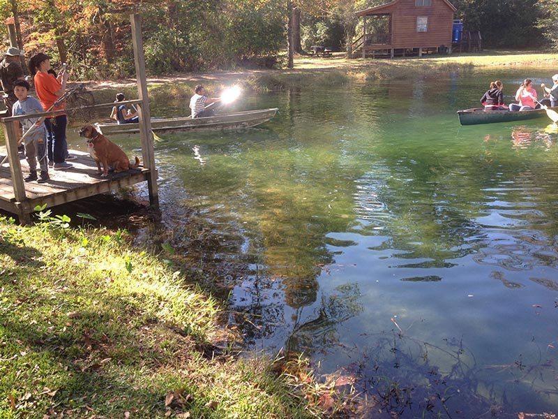 Berry Creek Cabins Bed and Breakfast Isabel Esterno foto